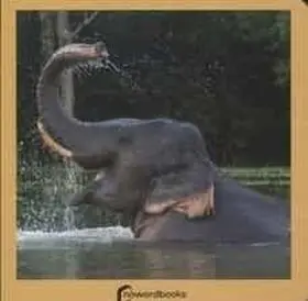 Los Animales Salvajes