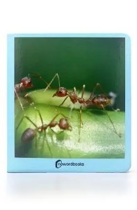 Animalitos