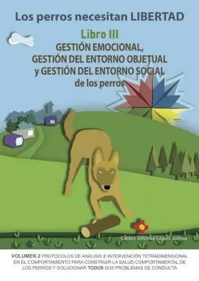 Gestion Emocional, Gestion del Entorno Objetual y