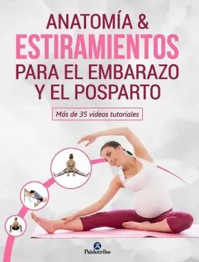 Anatomía Estiramientos para Embareazo y Postparto