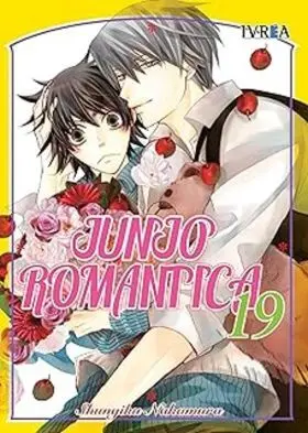 Junjo Romantica N 19