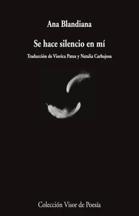 Se Hace Silencio en mí