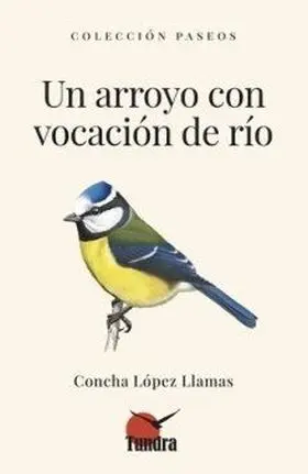 Un Arroyo con Vocación del Río