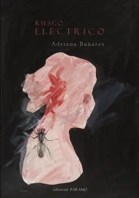 Riesgo Eléctrico